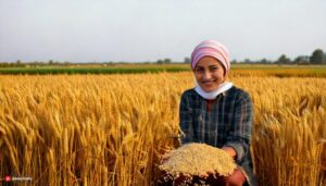 Firefly-real-photo-of-a-indian-farmers-doing-procurement-of-wheat-in-village-farm-land-in-a-rectangl-1-768x439